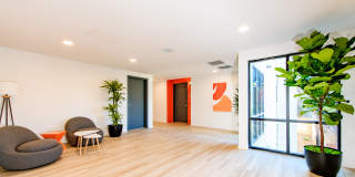 Rising Sun Gallery 26