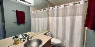 Sunny 1 bed 1 bath condo in Fremont Gallery 11