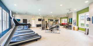 Element Carolina Bay Element Carolina Bay Gallery 35