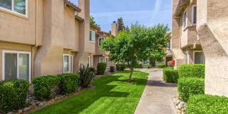 Southwood Townhomes Gallery 19