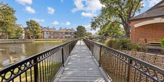 Ashford Gallery 31