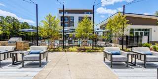 Aura Fifty4 Gallery 25