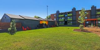 The Modern Gallery 61