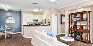 Park Central Gallery 6