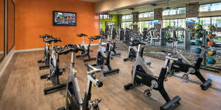 San Milan by Mark-Taylor Gallery 13