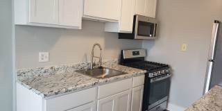 Swift at Riverdale Park Gallery 1