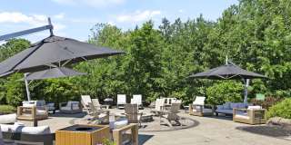 Shelter Cove Gallery 4