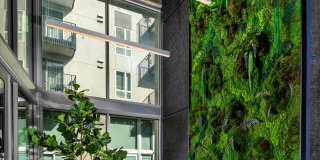 Aliso Gallery 28