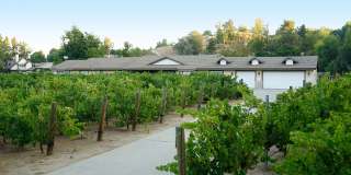 Temecula Wine Country Estate | Luxury 4BR Retreat with Pool, Vineyard Views & Entertainment Grounds Gallery 1