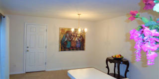 Vero Beach Rentals. Vero Beach Rent, LLC and Property Management Company Vero Beach Rentals. Vero Beach Rent, LLC and Property Management Company Gallery 19