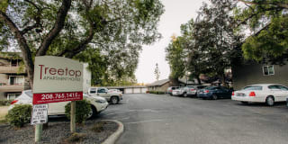 Treetop Gallery 6