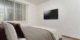 Vineyards Gallery 199