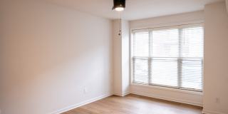 The Moxie Gallery 33