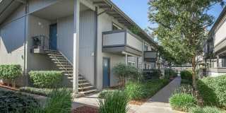 Creekside Gallery 5