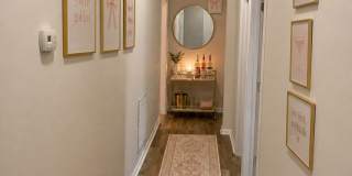 Lease Starts June 1. No rent until July!! Gallery 43
