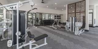 Alexan Grove Gallery 16