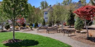 Knoll Crest Gallery 34