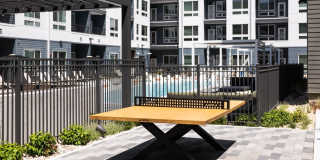 RYE Central Park Gallery 10