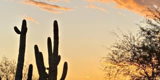 6894 E THIRSTY CACTUS Lane Gallery 50