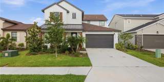 8326 ABALONE Loop Gallery 1
