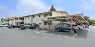 Ladera Woods Gallery 13