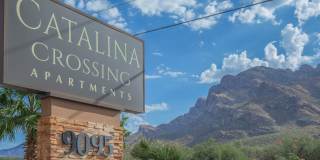 Catalina Crossing Gallery 16