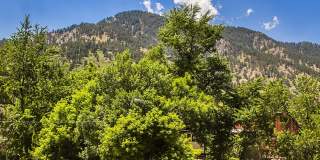 701 (384) Gallery 18