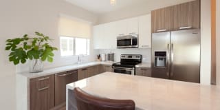 409 Palm Drive Gallery 1