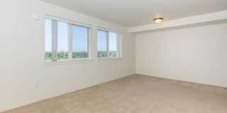 Urban Center Apartments Gallery 41