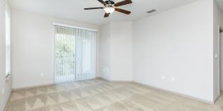 RIZE at Winter Springs Gallery 144