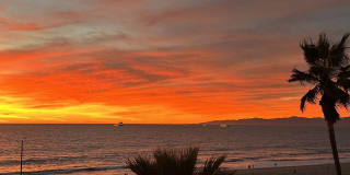 3616 The Strand Gallery 2