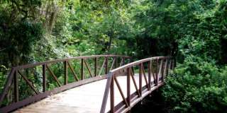Longwood (The Springs) - 2 Bedroom, 1 Bathroom - $1,795.00 Gallery 34