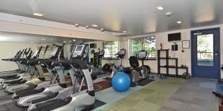 Spacious 2BR/1.75BA Condo in Convenient Location (Central District) Gallery 24