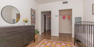 Vineyards Gallery 137