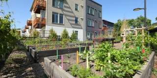 Affordable Housing - Annadel Apartments Gallery 34