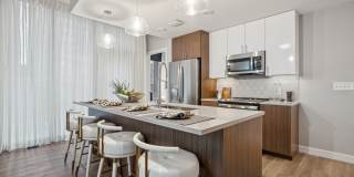 Josephine Gallery 47