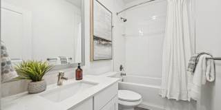 Cadia Sherman Gallery 16