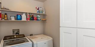 54838 Oak Tree Gallery 32