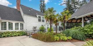 Chase Village Gallery 29