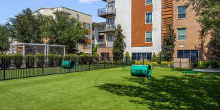 Legacy North Gallery 49