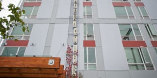 Greenhouse Gallery 16