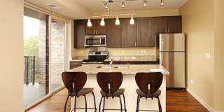 The Elysian Gallery 118