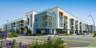 Aero Apartments Gallery 1