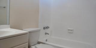 1718 Anapuni St. #502 1718 Anapuni St. #502 Gallery 9