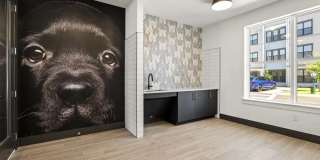 Longleaf at St. Johns Gallery 52