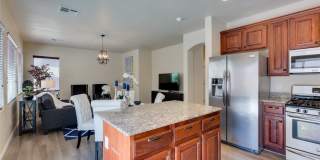 3305 Umbria Gardens Avenue Gallery 13