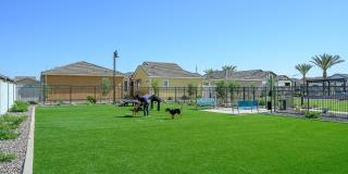 Village at the Blvd Gallery 35