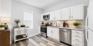 AUGUST 1 Beautiful 3 bedroom 1 bath house - private yard - ample parking quiet street Gallery 8