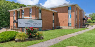 Nutmeg Woods Gallery 13