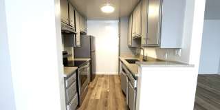 10908 Rose Gallery 11